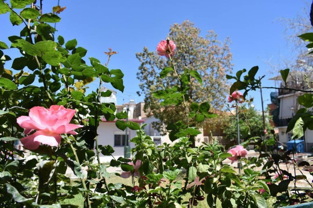 "Amelie" - Kalamata Centre Family Apartment Dış mekan fotoğraf